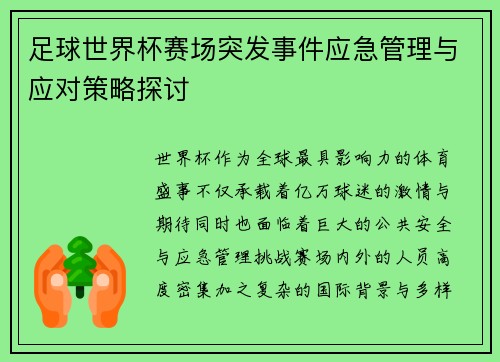 足球世界杯赛场突发事件应急管理与应对策略探讨